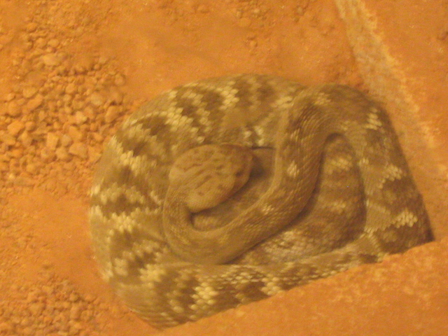 618x457 pixels (180K)